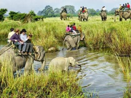 Did you visit these 'National Parks'? | ​‘या’ राष्ट्रीय उद्यानांना भेट दिली का?