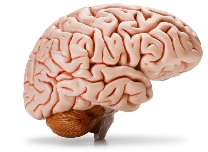 Increased brain age due to exercise | व्यायामामुळे वाढते मेंदूचे वय Increased brain age due to exercise | व्यायामामुळे वाढते मेंदूचे वय