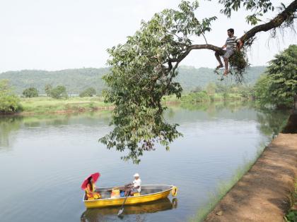 Around the crocodile, 'he' left the Chanderdh thief to settle down | ​मगरींनी घेरूनही ‘तो’ चरणदास चोर सहीसलामत सुटला