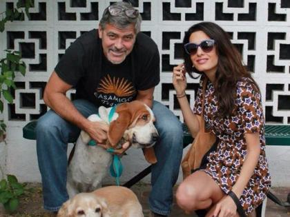 Colony adopted the dog took the dog | कॉलनी दाम्पत्याने कुत्रा घेतला दत्तक