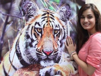 ​दीया मिर्जा बनविणार ‘वाघ वाचवा’ विषयावर चित्रपट