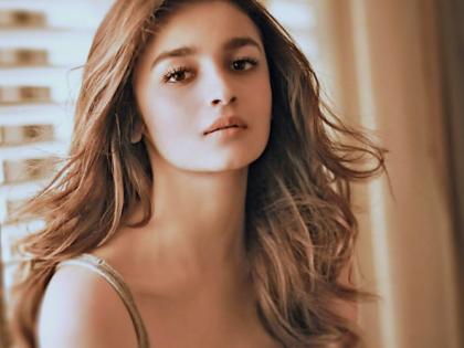 Without Alia Bhatt, this movie could not have been done - Meghna Gulzar | आलिया भट्टशिवाय 'हा' चित्रपट होऊ शकला नसता- मेघना गुलजार