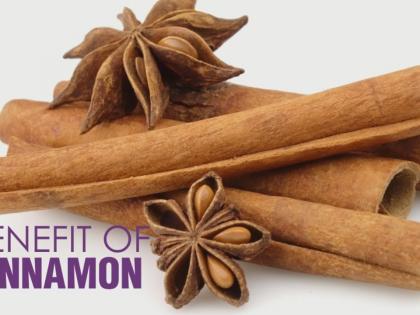 Cinnamon is curative! | दालचिनी आहे गुणकारी !