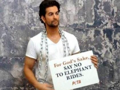 Avoid elephants for Safari - Neil Nitin Mukesh | ​सफारीसाठी हत्तींचा वापर टाळा- नील नितिन मुकेश