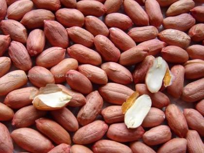 These are 10 benefits of eating peanuts | 'हे' आहेत शेंगदाणे खाण्याचे १० फायदे