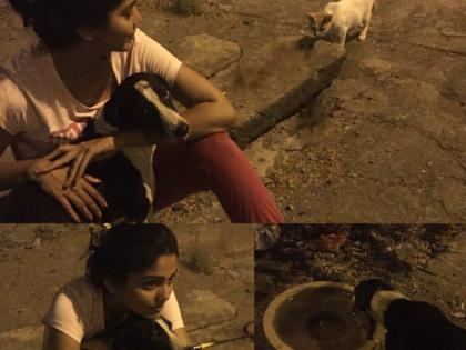 पुजाचे अ‍ॅनिमल लव