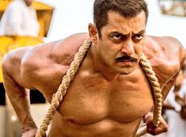 False crime on the whole team of Sultan with Salman | सलमानसह सुलतानच्या संपूर्ण टीमवर फसवणूकीचा गुन्हा