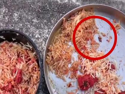 Cockroach in chicken biryani ordered online, incident creates stir; Where did 'this' disgusting incident happen? | ऑनलाइन मागवलेल्या बिर्याणीत झुरळ, घटनेने उडाली खळबळ; कुठे घडला 'हा' किळसवाणा प्रकार?