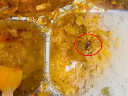 Insects, flies, cockroaches in train food 6,948 passenger complaints against catering services, a 500 percent increase | रेल्वेच्या जेवणात किडे, झुरळे! कॅटरिंग सेवेविरोधात प्रवाशांच्या ६,९४८ तक्रारी, ५०० टक्के वाढ