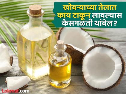 Curry leaves and coconut oil for hair fall control know how to use it | केसगळतीची समस्या वाढलीये? खोबऱ्याच्या तेलात मिक्स करून लावा 'या' दोन गोष्टी, मग बघा कमाल!