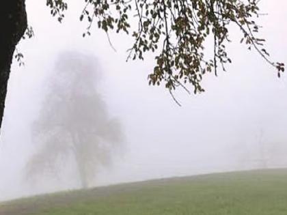 Latur: तेरणा काठ पुन्हा गारठला, औरादचे तापमान ८ अंशांवर ! पिकांना बांधा होण्याची शक्यता Latur: तेरणा काठ पुन्हा गारठला, औरादचे तापमान ८ अंशांवर ! पिकांना बांधा होण्याची शक्यता
