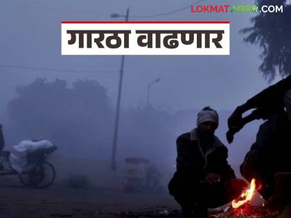 मध्यप्रदेशमध्ये थंडीच्या लाटेची शक्यता; राज्यात 'या' भागात वाढणार गारठा