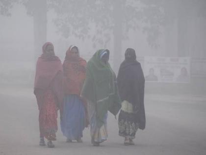 Cold Wave in Vidarbha, Gondia at 6.8, Nagpur at 8 degrees celsius | विदर्भ गारेगार; पारा घसरला, गाेंदिया ६.८ तर नागपूर ८ अंशावर