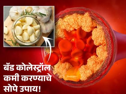 These home remedies are beneficial to reduce Bad Cholesterol in the body! | शरीरातील Bad Cholesterol कमी करण्यासाठी 'हे' सोपे घरगुती उपाय ठरतात फायदेशीर!