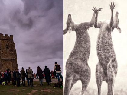 He listens to everyone ... Rapture in the world as the rain arrives in Australia bushfire | वो सबकी सुनता है... ऑस्ट्रेलियात पावसाचं आगमन, कांगारूंचा सुखावणारा 'रेन डान्स'