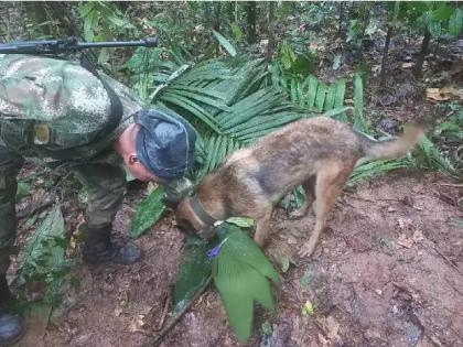 Colombia Plane Crash Colombian 4 children found alive in jungle weeks after accident | देवाक काळजी!! तब्बल १७ दिवसांनी जंगलात जिवंत सापडली विमान अपघातातील ४ मुलं