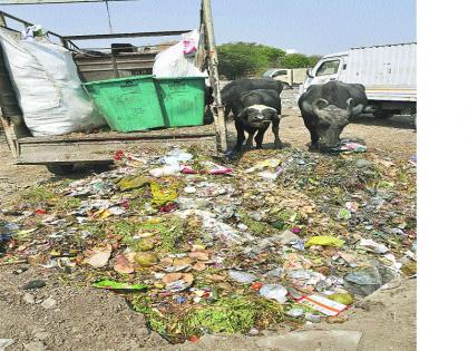 Salt-waste waste composting process started | साता-यात कचरा कंपोस्टिंग प्रक्रिया सुरू
