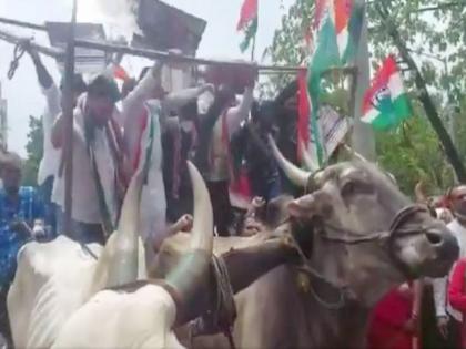 ‘Donkeys’ refuse to lift, ‘oxen’ refuse !; BJP's brother Jagtapan tola | ‘गाढवांचा’ भार उचलायला, ‘बैलांचा’ नकार!; भाजपचा भाई जगतापांना टोला