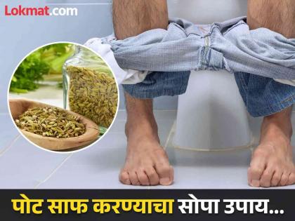 Roasted fennel seeds : Best home remedies for constipation | पुन्हा पुन्हा टॉयलेटला जाऊनही पोट साफ होत नाही? बडीशेपचं 'असं' करा सेवन, मग बघा कमाल!