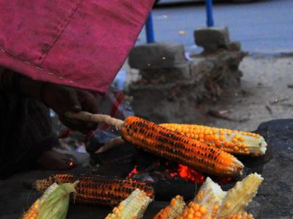 Cooking food on coal or wood fire may increase risk of heart diseases | कोळशावर शिजवलेले पदार्थ खाल्यास हृदय रोगाचा धोका - रिसर्च