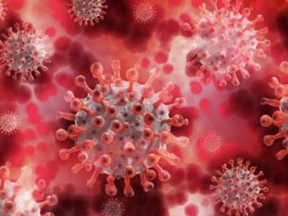 Corona virus in Nagpur: Mortality rate 1.88 per cent, positivity rate 1.75 per cent | CoronaVirus in Nagpur : मृत्यूदर १.८८ टक्के तर, पॉझिटिव्हीटी दर १.७५ टक्के