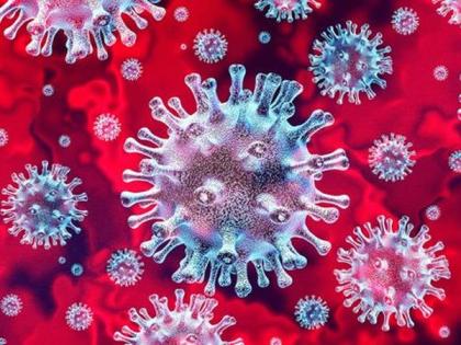 Corona Virus in Nagpur: 19 patients found again in Nagpur: Total 124 patients | CoronaVirus in Nagpur :नागपुरात कोरोनाचा ब्लास्ट, १९ रुग्ण पॉझिटिव्ह