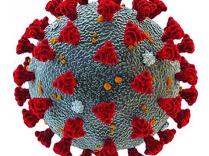 CoronaVirus in Nagpur: Corona virus, death toll decreases | CoronaVirus in Nagpur : कोरोनाचा रुग्ण, मृत्यूसंख्येत घट