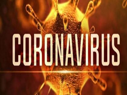 Infiltration of corona in 40 villages of Nevasa taluka. 40 corona positive were found in a single day | नेवासा तालुक्यातील ४० गावात कोरोनाचा शिरकाव..तरुणांचे प्रमाण अधिक; एकाच दिवसात ४० कोरोना पॉझिटिव्ह आढळले