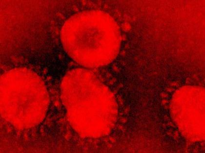 Corona's first victim in Vidarbha; The number of patients in Vidarbha has reached 90 | Corona Virus in Nagpur; विदर्भात कोरोनाचा पहिला बळी