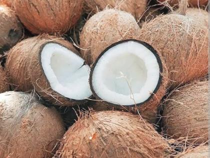 The chutneys at South Indian restaurants are specially made with Madrasi coconut; Know why this coconut? | साऊथ इंडियन रेस्टॉरंटमधील चटणी 'मद्रासी' नारळामुळे बनते खास; किलोवर मिळतो हा नारळ