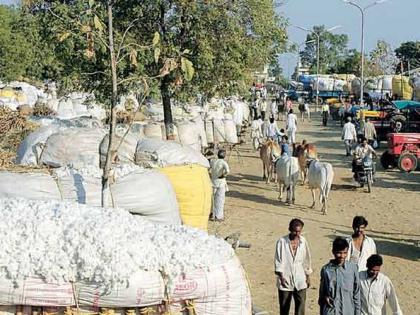 500 crore pending of cotton grower farmer by marketing fedration | पणनने थकवले शेतकऱ्यांचे ५०० कोटींचे चुकारे!