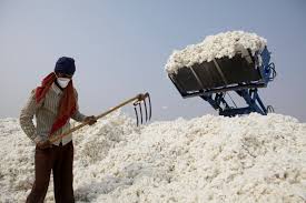 Cotton price is up to six thousand rupees! | कापसाचे दर प्रतिक्विंटल सहा हजारावर!