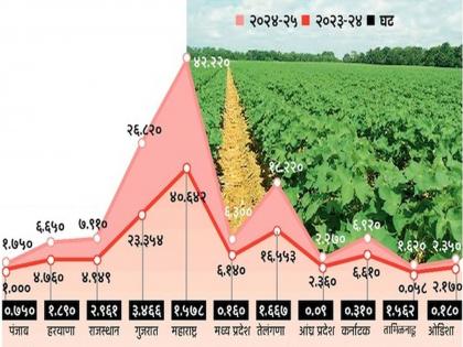 Cotton production will decrease; But the grain will increase | कापसाचे उत्पादन घटणार; भरडधान्याचे मात्र वाढणार