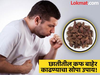 Ayurveda remedy badi elaichi to remove mucus or phlegm from lungs | फुप्फुसात जमा झालेला कफ झटक्यात येईल बाहेर, डॉक्टरांनी सांगितला 'हा' आयुर्वेदिक उपाय...