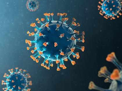 Corona Virus Hong Kong, Singapore on high alert as Covid-19 cases spike | COVID 19 : हाँगकाँग-सिंगापूरमध्ये कोरोना परतला, रुग्णांच्या संख्येत झपाट्याने वाढ Corona Virus Hong Kong, Singapore on high alert as Covid-19 cases spike | COVID 19 : हाँगकाँग-सिंगापूरमध्ये कोरोना परतला, रुग्णांच्या संख्येत झपाट्याने वाढ