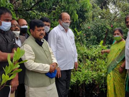 If trees are cut down in the constituency of environment minister, then ...; Praveen Darekar's tweak | पर्यावरण मंत्र्यांच्या मतदारसंघात झाडांची कत्तल, तर...; प्रविण दरेकरांचा टोमणा