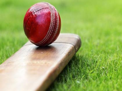 Auction of cricketers for NMPL on Monday | एनएमपीएलसाठी सोमवारी क्रिकेटपटूंचा लिलाव