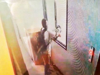 Cat thrown from ninth floor for sitting on shoe rack | शू रॅकवर बसल्याने मांजराला नवव्या मजल्यावरून फेकले, आरोपी शेजाऱ्याविरोधात गुन्हा दाखल Cat thrown from ninth floor for sitting on shoe rack | शू रॅकवर बसल्याने मांजराला नवव्या मजल्यावरून फेकले, आरोपी शेजाऱ्याविरोधात गुन्हा दाखल