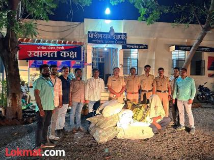 Latur: Marijuana cultivated in field; Goods worth Rs 6 lakh 10 thousand seized, two arrested | लातूर: शेतात केली गांजाची लागवड; ६ लाख १० हजारांचा माल जप्त, दोघांना अटक Latur: Marijuana cultivated in field; Goods worth Rs 6 lakh 10 thousand seized, two arrested | लातूर: शेतात केली गांजाची लागवड; ६ लाख १० हजारांचा माल जप्त, दोघांना अटक