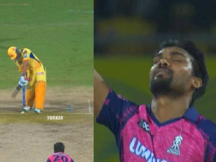 IPL 2023, CSK vs RR Live Marathi : Rajasthan Royals beat CSK by 3 wickets in a thriller match, The last time Rajasthan Royals beat CSK in Chennai was in 2008  | IPL 2023, CSK vs RR Live : MS Dhoni अन् रवींद्र जडेजाचा संघर्ष अपयशी, 'यॉर्कर'ने मॅच फिरवली; RRने १५ वर्षांनी चेपॉकवर मॅच जिंकली