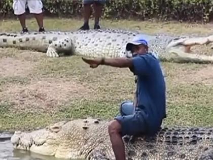 Crocodile Viral Video| Man dancing on the giant Crocodile, watch video | Crocodile Viral Video: महाकाय मगरीच्या पाठीवर बसून करत होता डान्स, तेवढ्यात...पाहा धक्कादायक Video