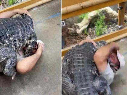 man hugs crocodile video goes viral on internet | Viral Video: या व्यक्तीने मगरीला मारली जिगरी दोस्तासारखी मिठी, लोक म्हणाले हा तर जीवाशी खेळ