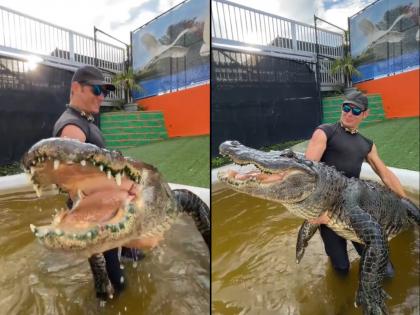 man playing with giant crocodile video goes viral on internet | Viral Video: भल्यामोठ्या मगरीशी मस्त खेळतोय हा पठ्ठ्या, व्हिडिओ पाहुन मात्र तुमच्या अंगावर येईल काटा