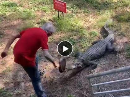 Man scares away crocodile by hitting it with a frying pan | Viral Video: आहे का तुमच्यात इतकी हिम्मत! तव्याने मगरीला पळवून लावले या माणसाने, मगरीने ठोकली धुम