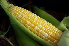 Maize has the highest rate of sales in decades | मक्याला दशकातील विक्रमी २६०० दर