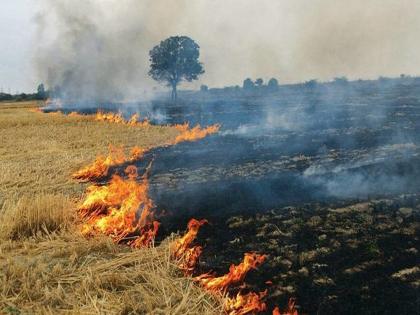 Risk of lung diseases in small children increased due to tan or stubble burning says study | शेतातील तण जाळून होणाऱ्या धुरामुळे आरोग्याला मोठा धोका, भारतात २१ हजार कोटी रूपयांचं नुकसान!