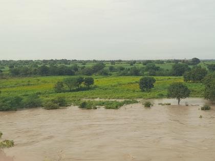 Will the management of the mud and affected crops in the Kharif season be possible due to heavy rains? | 'आकस्मिक मर' आणि 'अळीचा प्रादुर्भाव'; बीड जिल्ह्यात पावसामुळे पिकांवर रोगांचे संकट