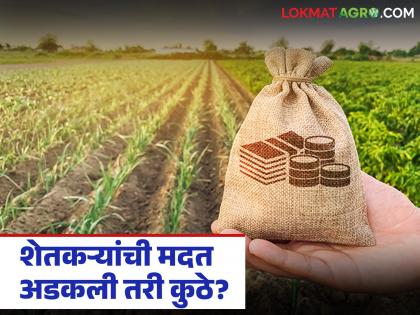 latest news Crop Damage Compensation: Rabi assistance approved for 3.56 lakh farmers; But how much is deposited in the account? Read in detail | Crop Damage Compensation : ३.५६ लाख शेतकऱ्यांना रब्बी मदत मंजूर; पण खात्यात किती जमा? वाचा सविस्तर latest news Crop Damage Compensation: Rabi assistance approved for 3.56 lakh farmers; But how much is deposited in the account? Read in detail | Crop Damage Compensation : ३.५६ लाख शेतकऱ्यांना रब्बी मदत मंजूर; पण खात्यात किती जमा? वाचा सविस्तर