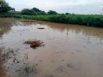 The force of the rain will not decrease! Heavy rains in 47 circles in Marathwada, massive damage to crops | पावसाचा जोर कमी होईना! मराठवाड्यात ४७ मंडळांत अतिवृष्टी, पिकांचे मोठ्या प्रमाणात नुकसान