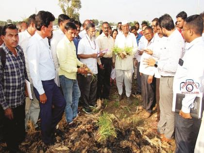 The central squad came from a thousand miles for inspection of wet drought; Five minutes went by | केंद्रीय पथक हजार मैलांवरून आले; पाच मिनिटे पाहून गेले